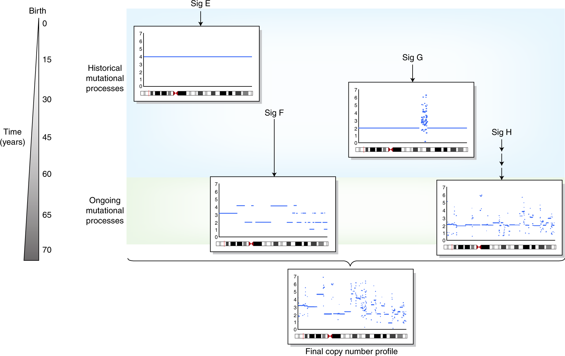 The illustration of copy number signatures, fig source: https://www.nature.com/articles/s41588-018-0212-y